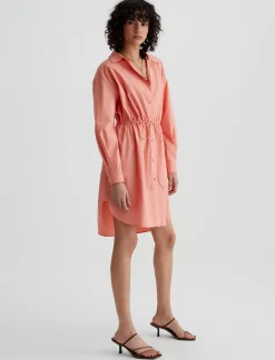 Jolie Shirt Dress
