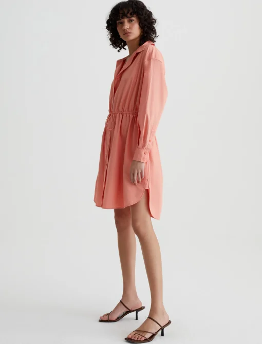Jolie Shirt Dress