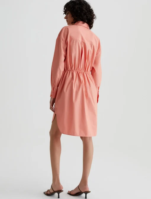 Jolie Shirt Dress